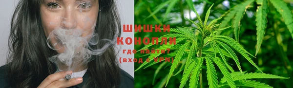 шишки Чердынь