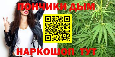прущие грибы Гатчина