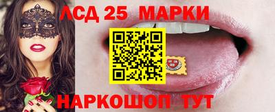 прущие грибы Гатчина