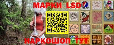 прущие грибы Гатчина